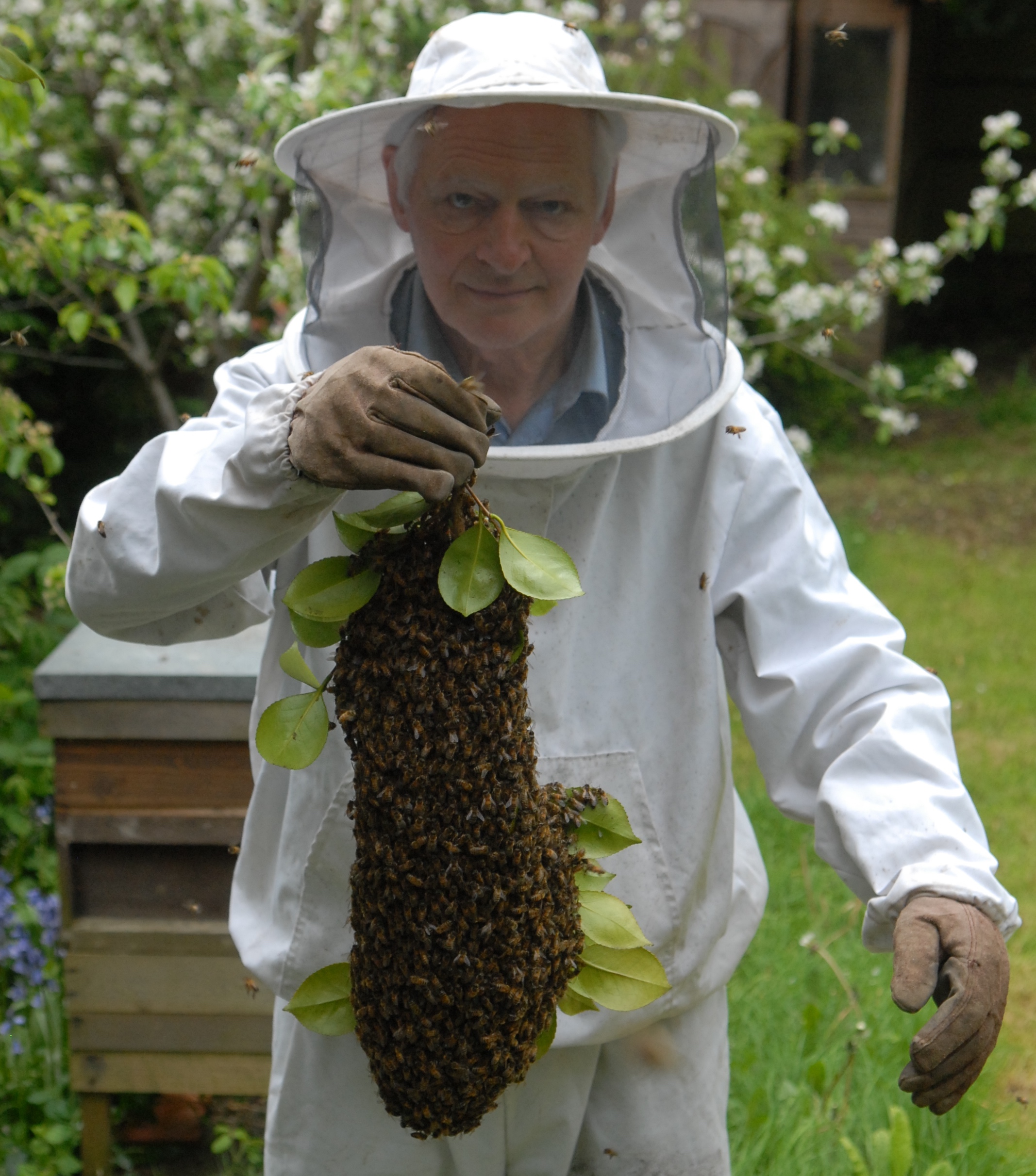 Andrew with a bee swarm